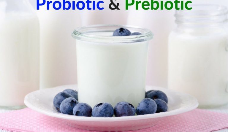 PREBIOTIC AND PROBIOTIC FOOD BANNER