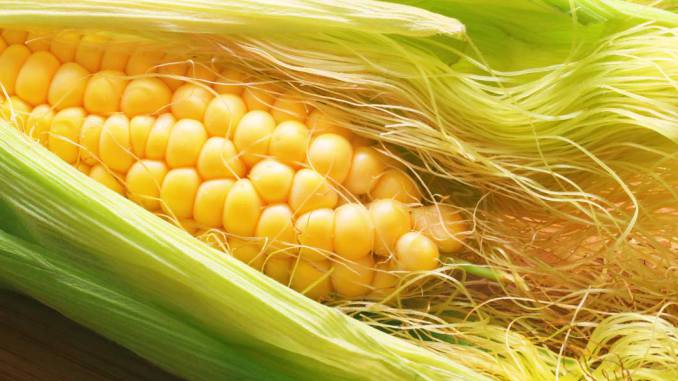 Diuretics Corn Silk