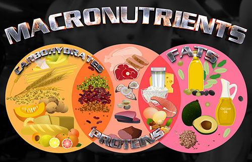 Macronutrients