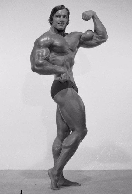 Mesomorph Arnold