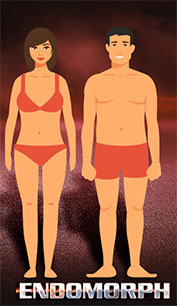 endomorph mesomorph body types