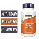 NOW L-Carnosine 500 mg  - 50 Vcaps