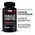 Force Factor Tribulus Terrestris Benefits Image