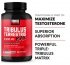 Force Factor Tribulus Terrestris Max Benefits Image