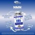 Hi-Tech Pharmaceuticals NMN Benefits Image