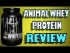 Animal Whey Protein Review By Universal Nutrition