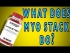 Myo Stack By Blackstone Labs, Review (2019)