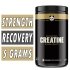 Panda Supps Creatine Monohydrate 500 Grams (100 Servings) Bottle Image