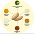 Testrol Gold ES Tablet Breakdown Image