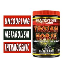 BlackStone Labs Trojan Horse, Fat Burner Bottle Image