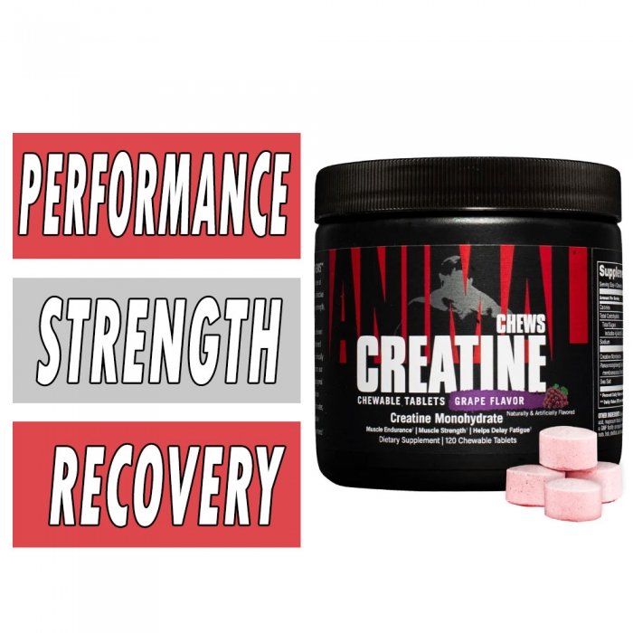 Animal Creatine Chews - Universal Nutrition Image