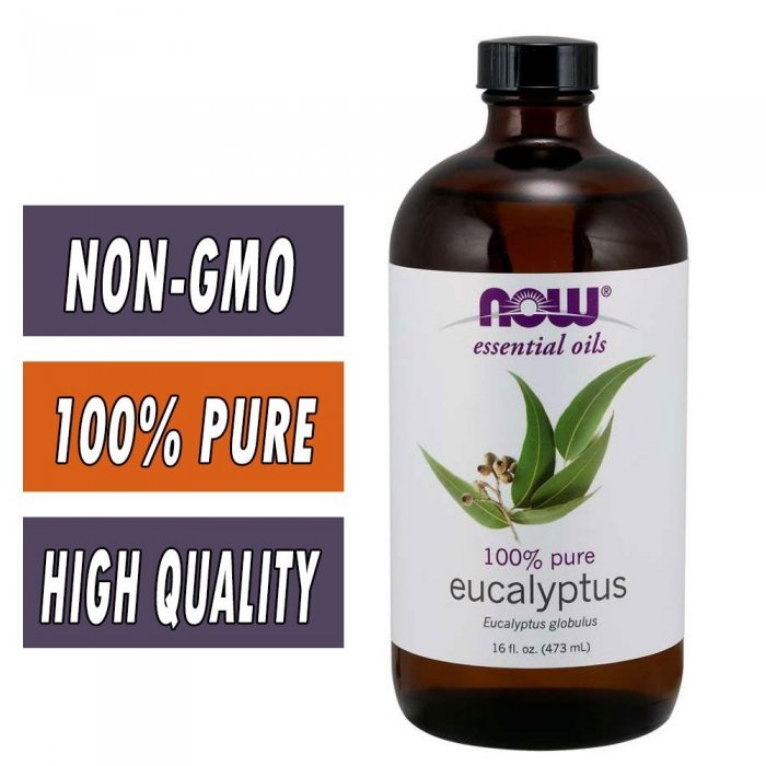 NOW Eucalyptus Globulus Oil 