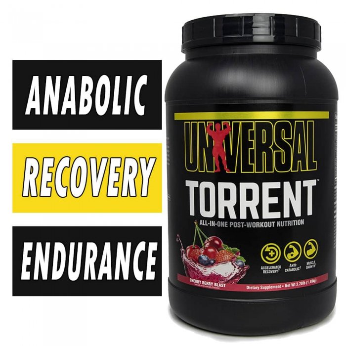 Universal Nutrition Torrent