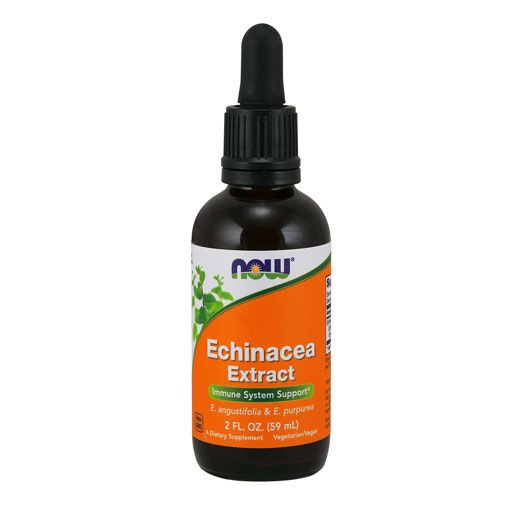 NOW Echinacea - 2 fl oz